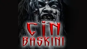 Cin Baskını 2020