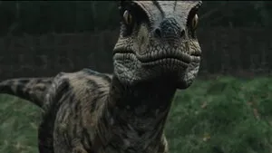 Raptor Attack 2026