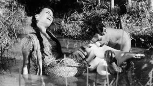 Susuz Yaz | Dry Summer 1963