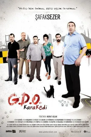 G.D.O. Kara Kedi 2012