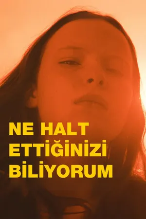 Ne Halt Ettiğinizi Biliyorum 2025