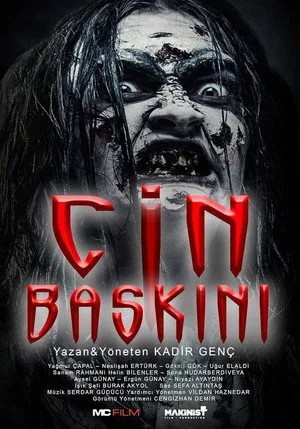 Cin Baskını 2020
