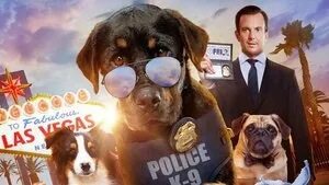 Gösteri Köpekleri | Show Dogs 2018