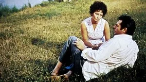 Sunflower | I Girasoli 1970
