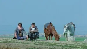 Yol 1982
