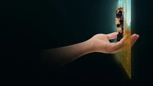 Ibelin'in Olağanüstü Hayatı 2024