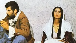 Sürü 1978