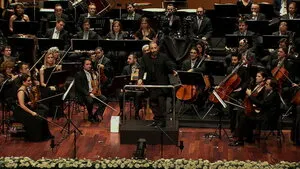 Bifo & CMYLMZ 2011