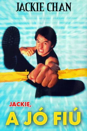 Fırtına Adam | Mr. Nice Guy 1997 Film İzle